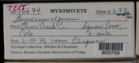 Image Associated With the Occurence